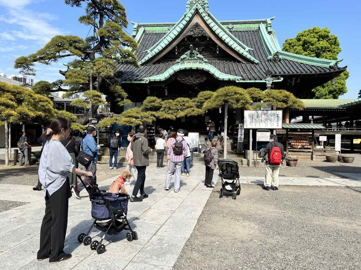 柴又の帝釈天に愛犬と