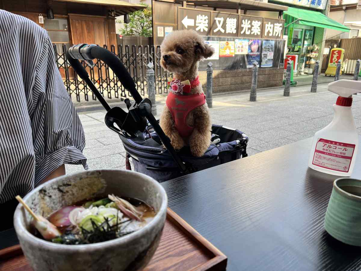 柴又の「おじぎ茶屋」