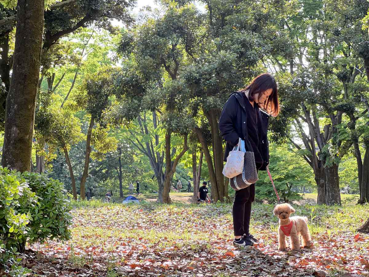 光が丘公園