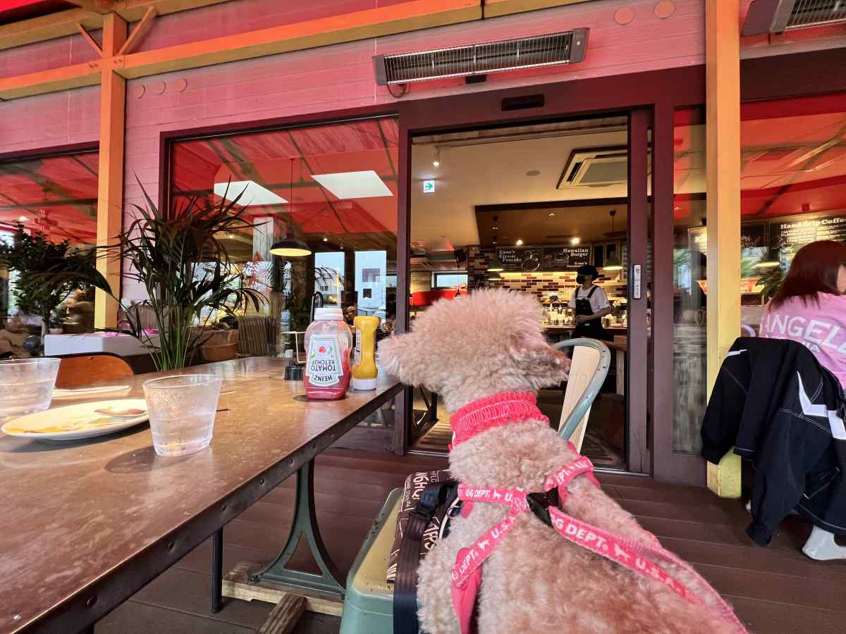 コナズコーヒーのテラス席の雰囲気