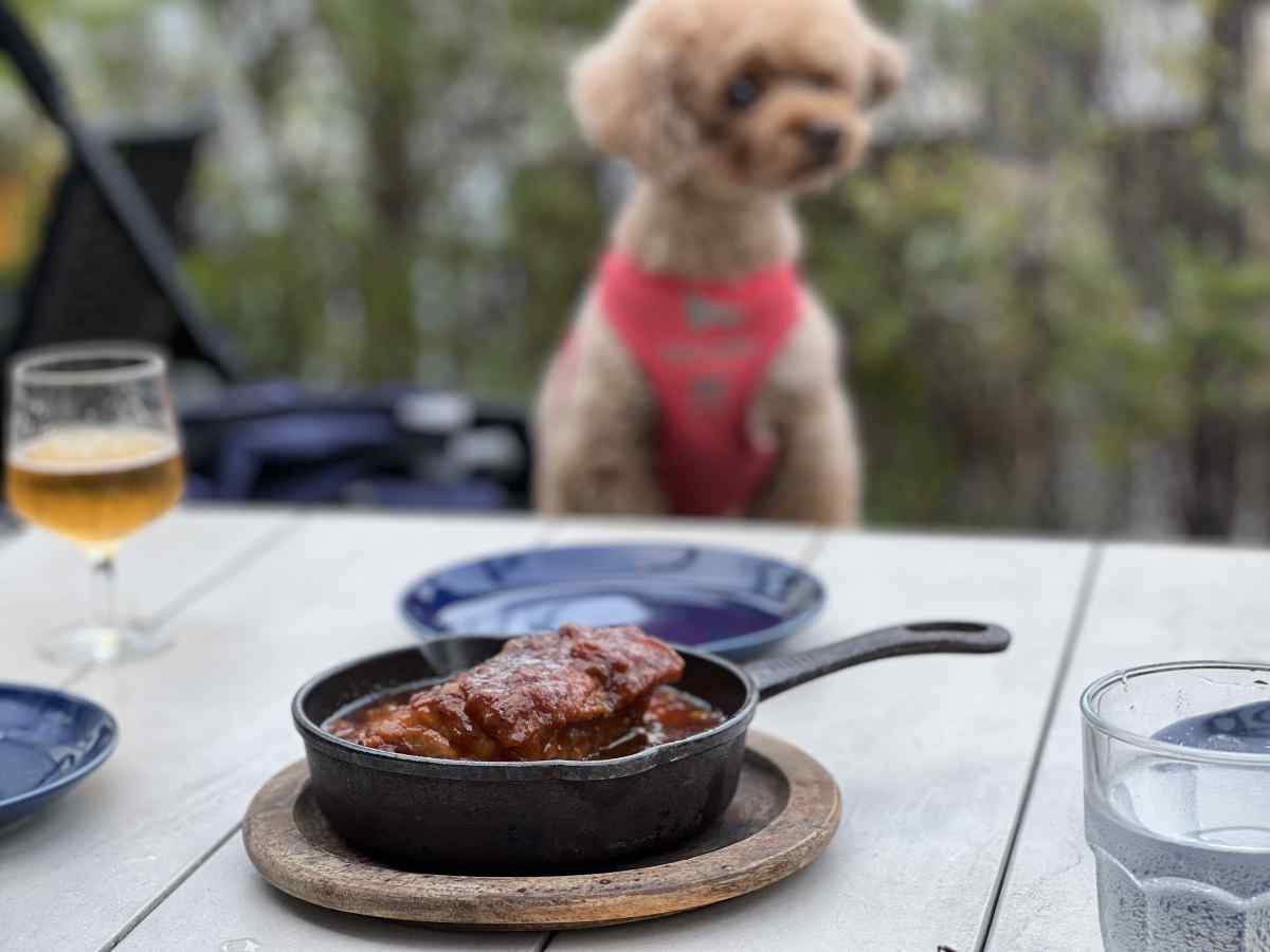 ポークスペアリブのワインビネガー煮込みを愛犬と