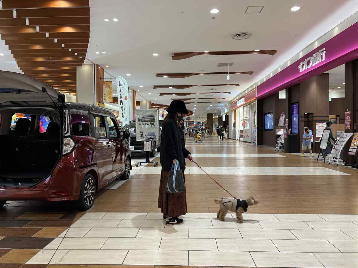 越谷イオンレイクタウンのMORIエリアの館内に愛犬と