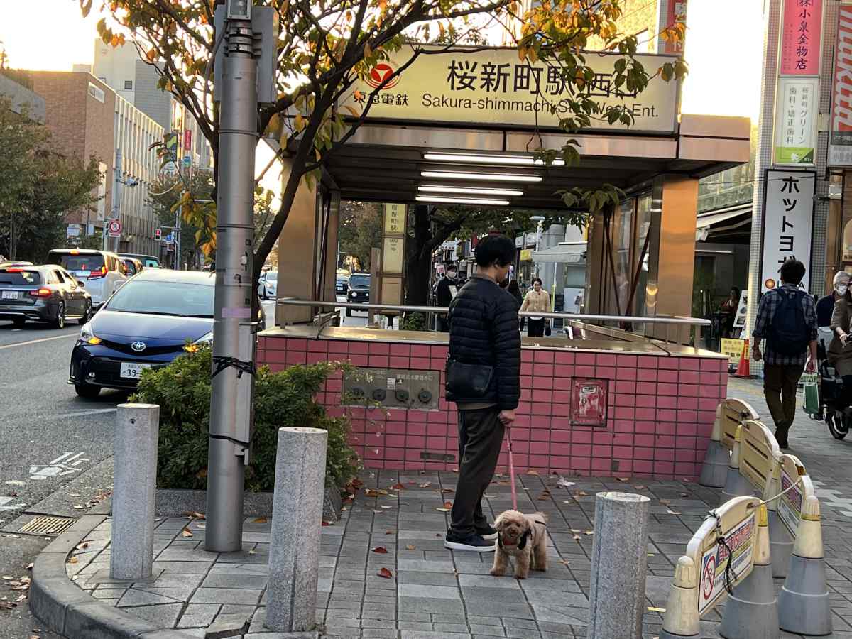 桜新町に愛犬と