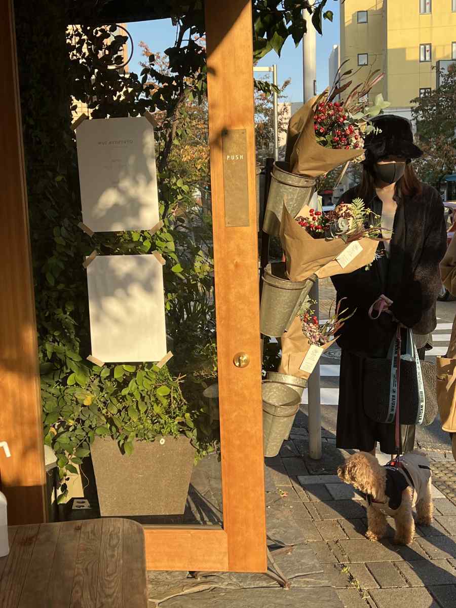 桜新町のオヤツヤサン(OYATSUYA SUN)に愛犬と