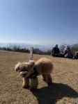 Thumbnail of new posts 094